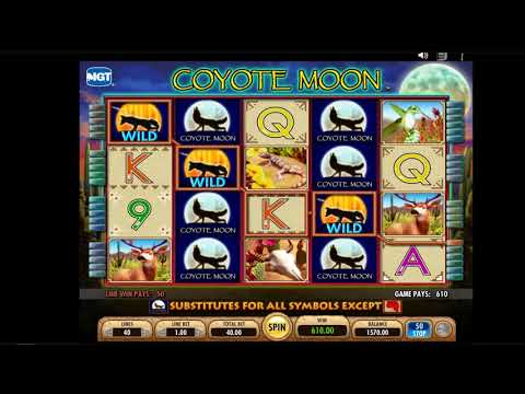 Récompenses du casino i24slot