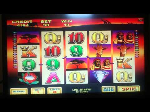 Casino wild gambler