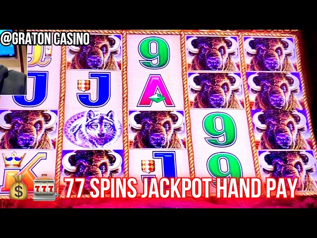 5 dragons casino
