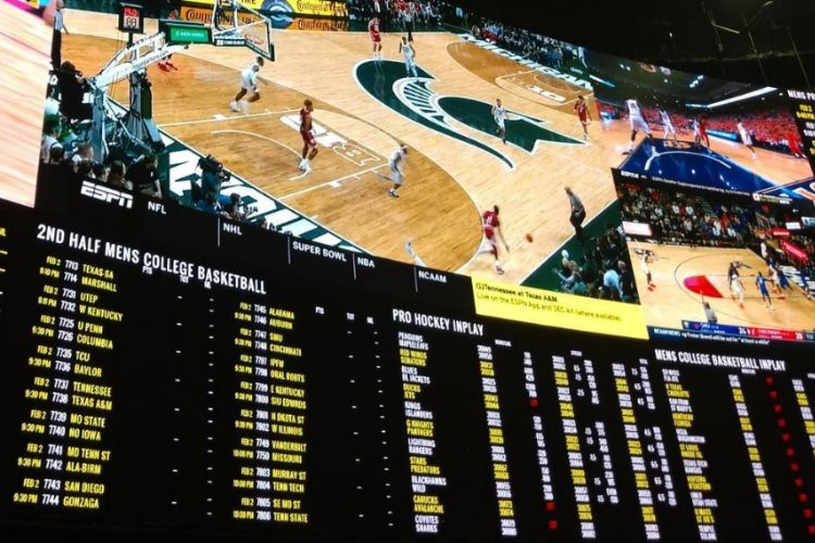 horse betting