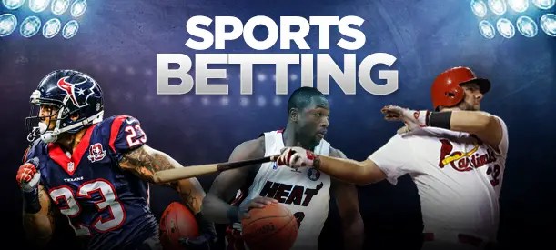 bet365 tips cricket